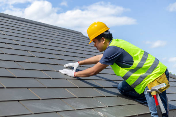 Best Commercial Roofing Services  in Knoxvle, IL