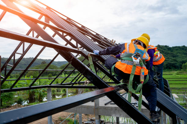 Best Storm Damage Roof Repair  in Knoxvle, IL