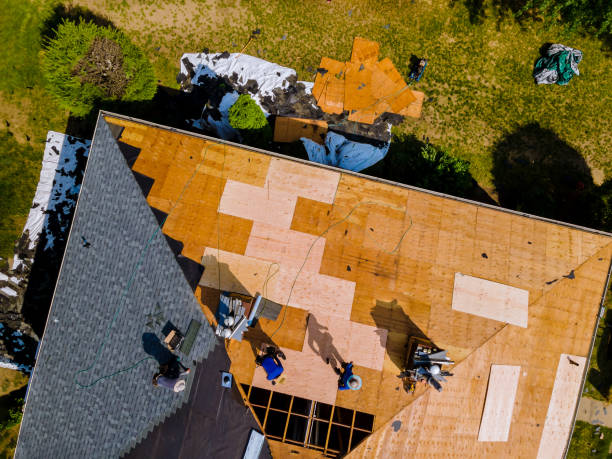Best Residential Roofing Contractor  in Knoxvle, IL