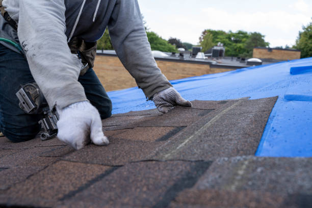 Best Roof Repair Services  in Knoxvle, IL