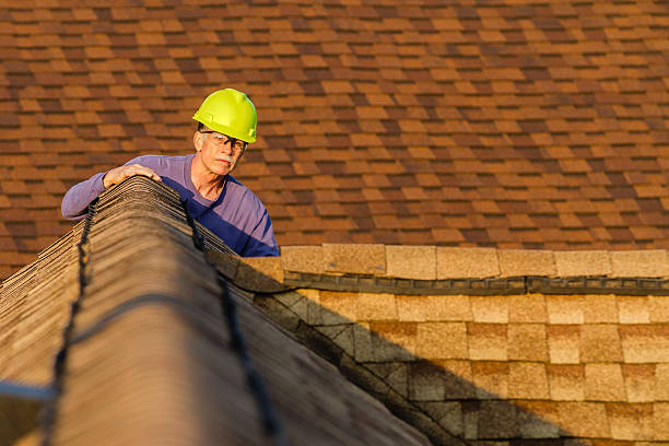 Best Roof Inspection Near Me  in Knoxvle, IL