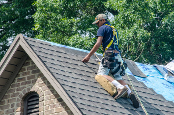 Best Roof Maintenance Services  in Knoxvle, IL